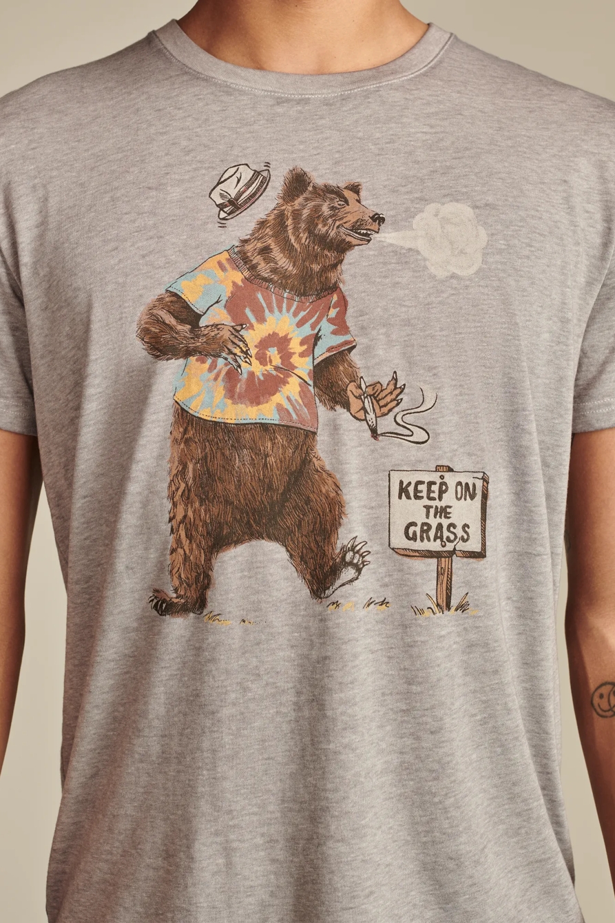GRASS BEAR, image 2