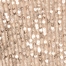 CHAMPAGNE SEQUIN