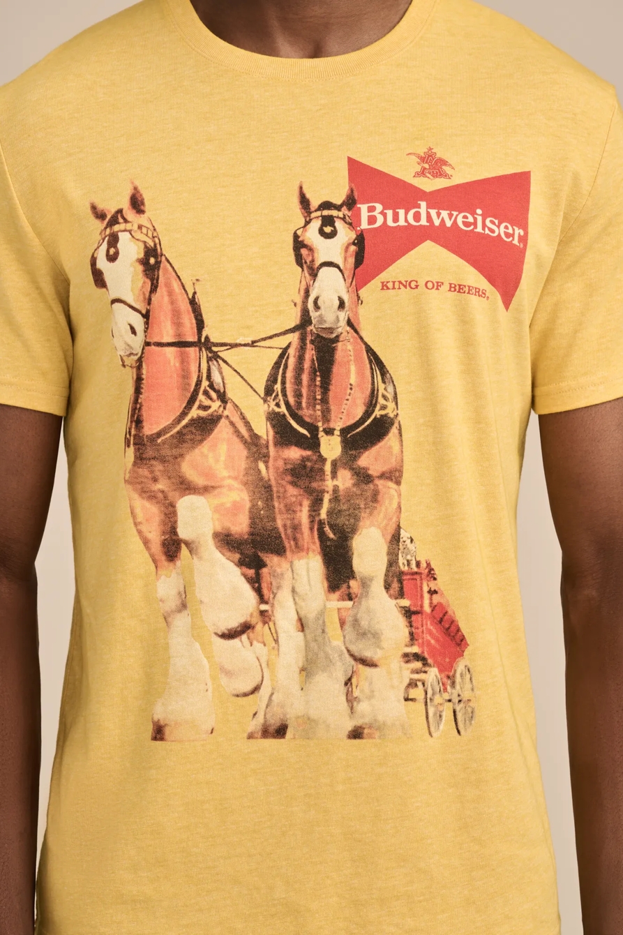 BUDWISER HORSES, image 2