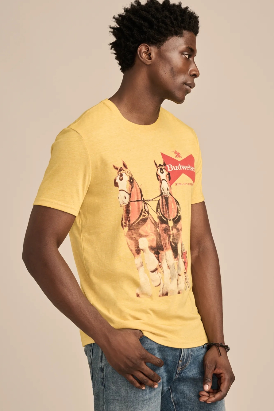 BUDWISER HORSES, image 4