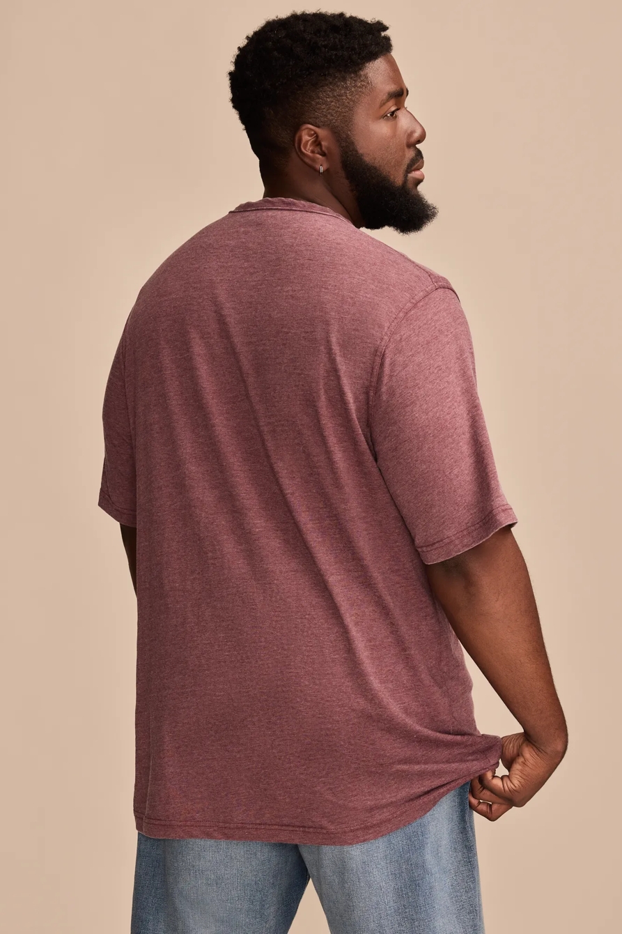 VENICE BURNOUT NOTCH NECK TEE, image 3