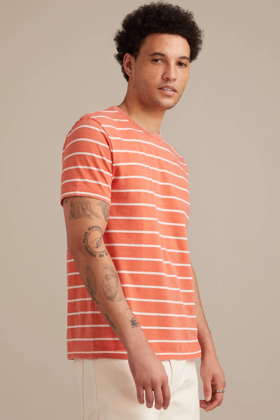 VENICE BURNOUT STRIPE CREW NECK TEE, image 3