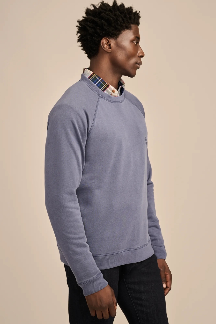 FLEECE LOGO RAGLAN CREW SWEATSHIRT, image 3
