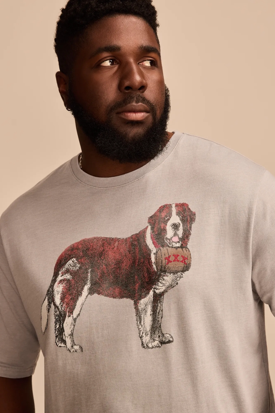 ST BERNARD, image 2