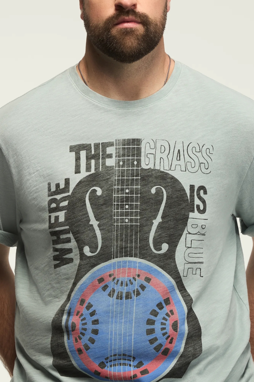 Big & Tall BLUE GRASS GUITAR, image 2