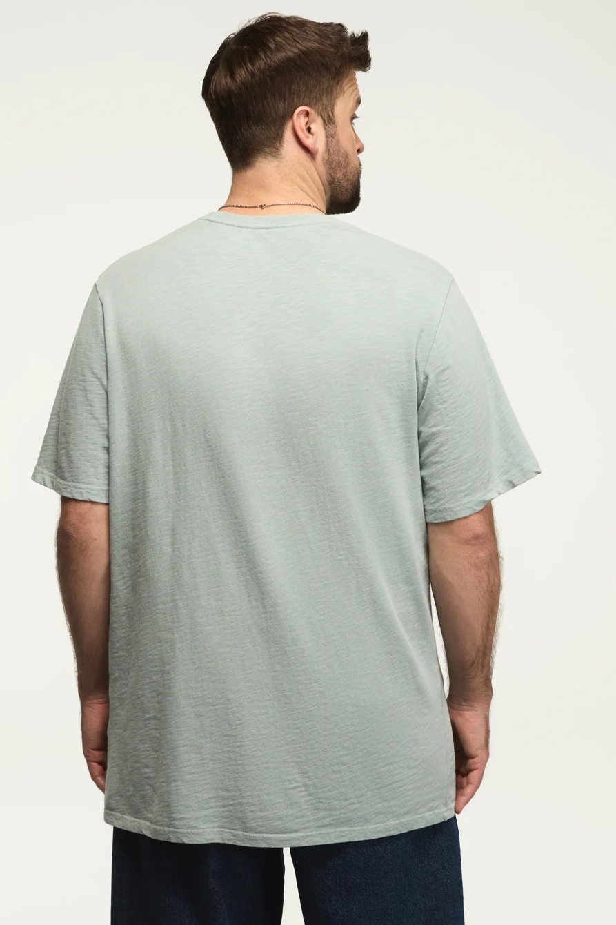 Big & Tall BLUE GRASS GUITAR, image 3