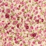PINK FLORAL