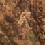 CAMO (ARMY COLORS)