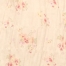 Cream Floral