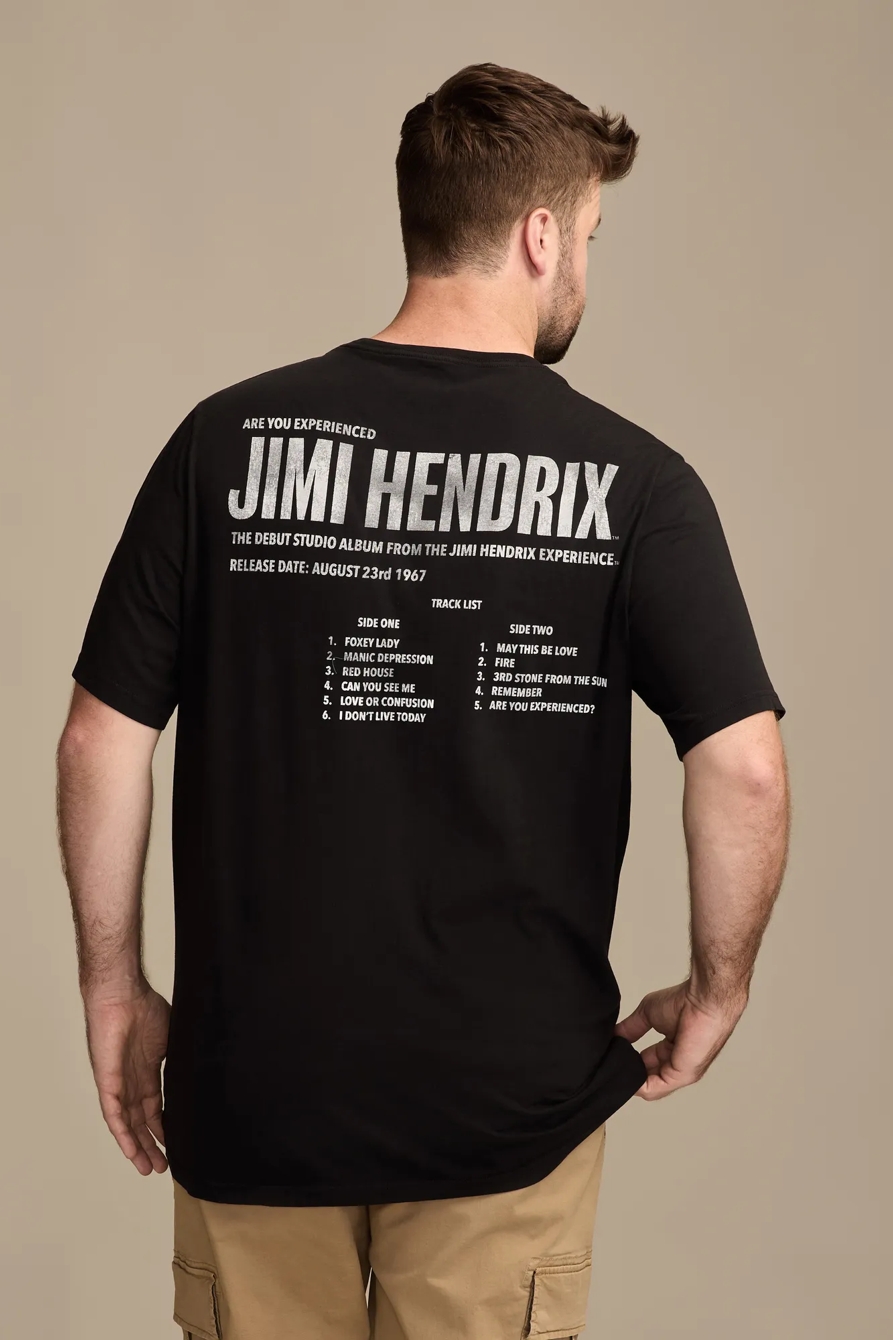 METAL HENDRIX, image 2