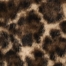DARK BROWN LEOPARD PRINT