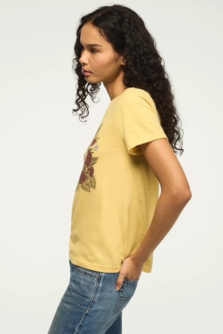 SO FRESH CLASSIC CREW, image 4