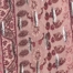 PURPLE PAISLEY STRIPE