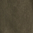 DRY SAGE