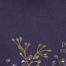 PARACHUTE PURPLE