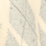 WHITECAP GRAY