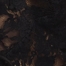 METEORITE