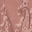 BROWN PAISLEY BORDER