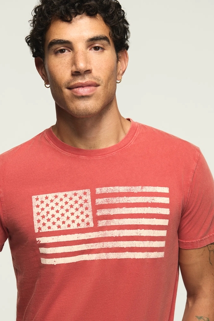 VINTAGE FLAG TEE, image 2