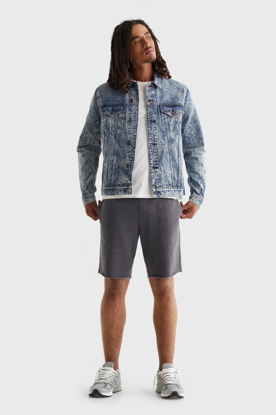 THE TRUCKER JACKET, image 2