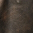 BROWN/BLACK