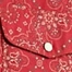 RED PRINT