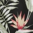 BLACK FLORAL PRINT