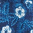 BLUE PRINT