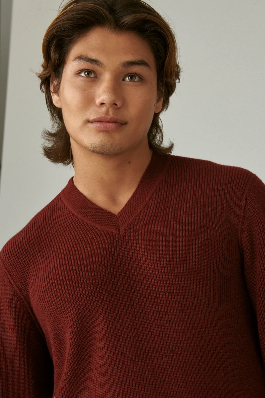 CLOUD SOFT V-NECK SWEATER, image 4