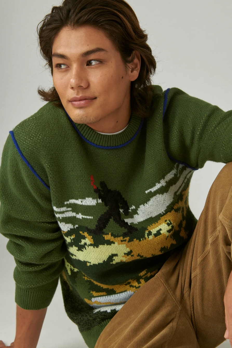 INTARSIA CREW NECK SWEATER, image 4