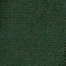 EUCAPLYTUS LEAF