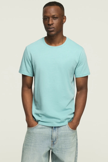 VENICE BURNOUT CREW NECK TEE, image 1