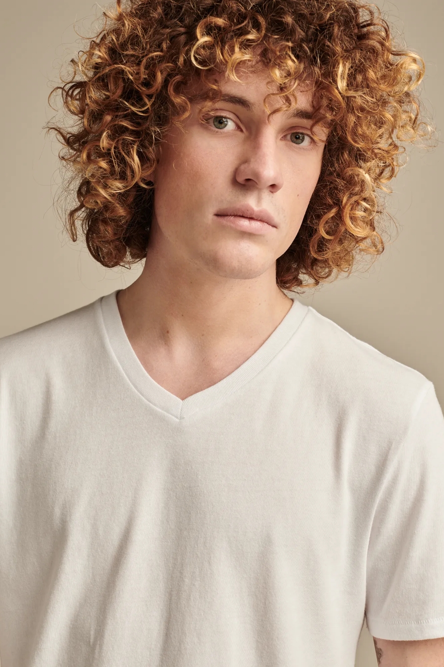 VENICE BURNOUT V NECK TEE, image 2
