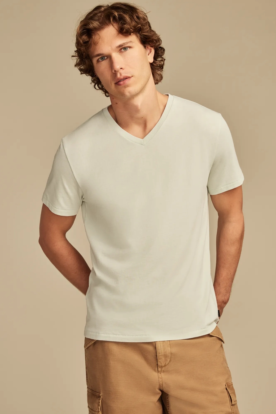 VENICE BURNOUT V NECK TEE, image 1