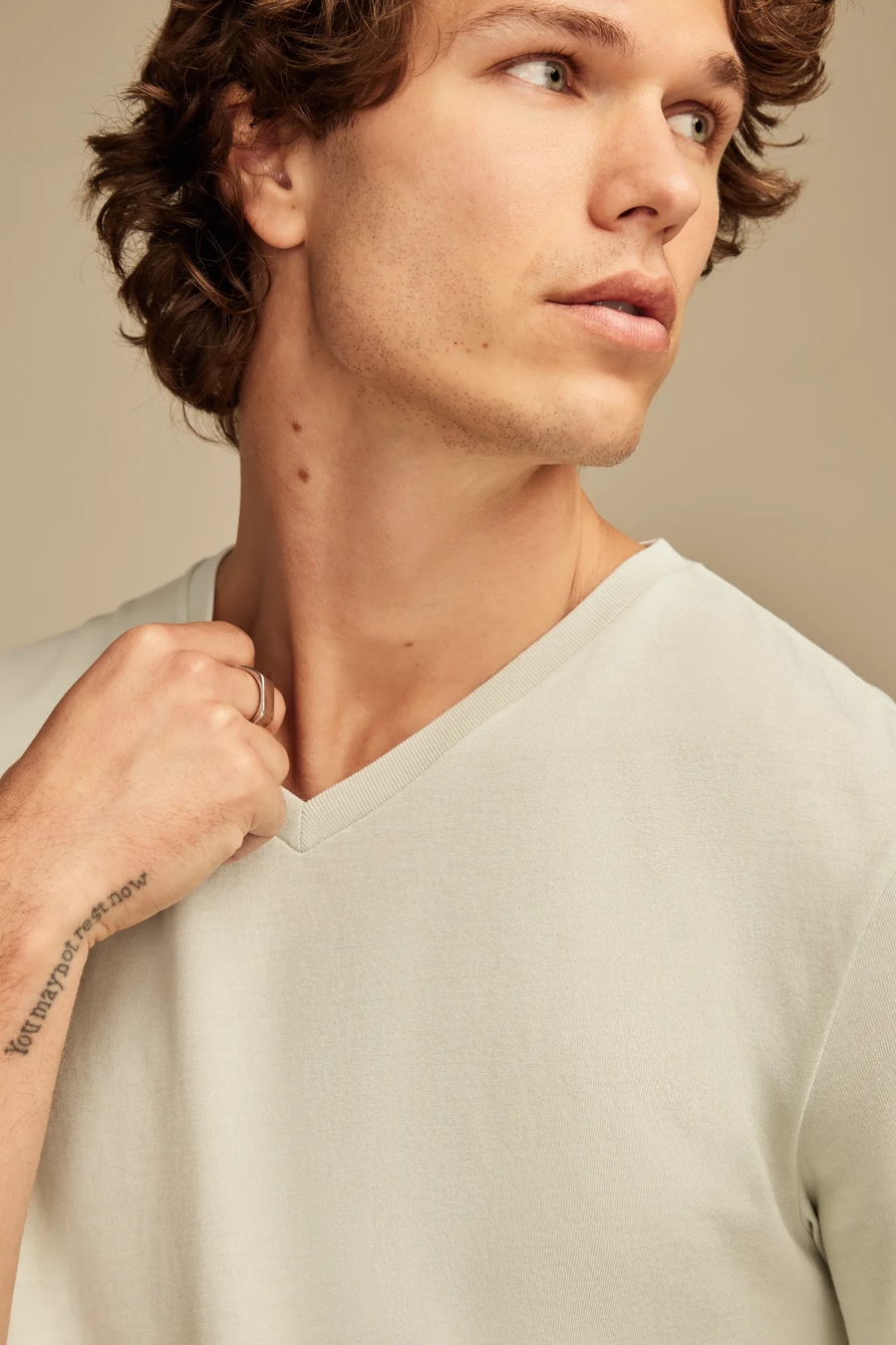 VENICE BURNOUT V NECK TEE, image 2
