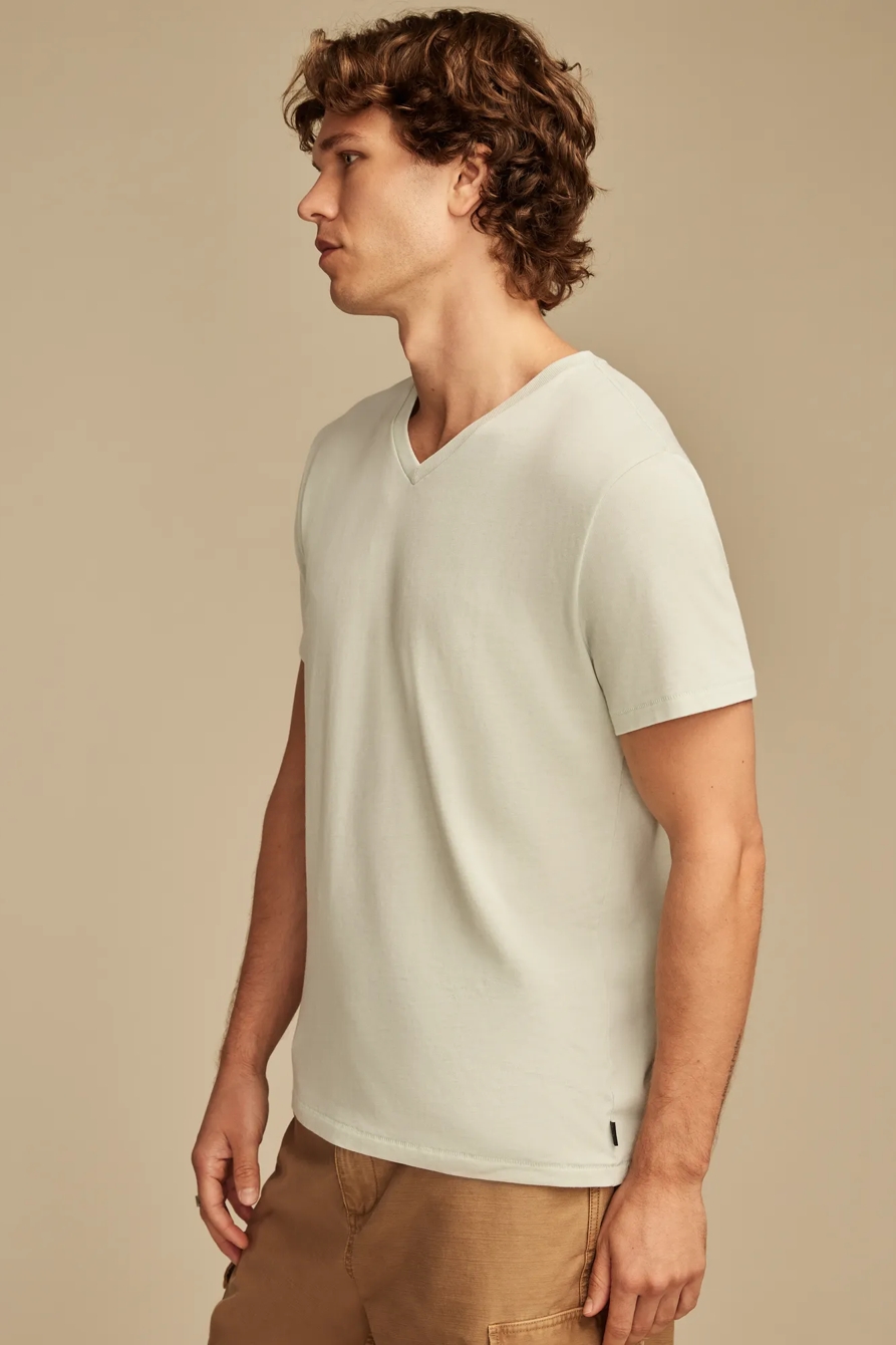 VENICE BURNOUT V NECK TEE, image 3