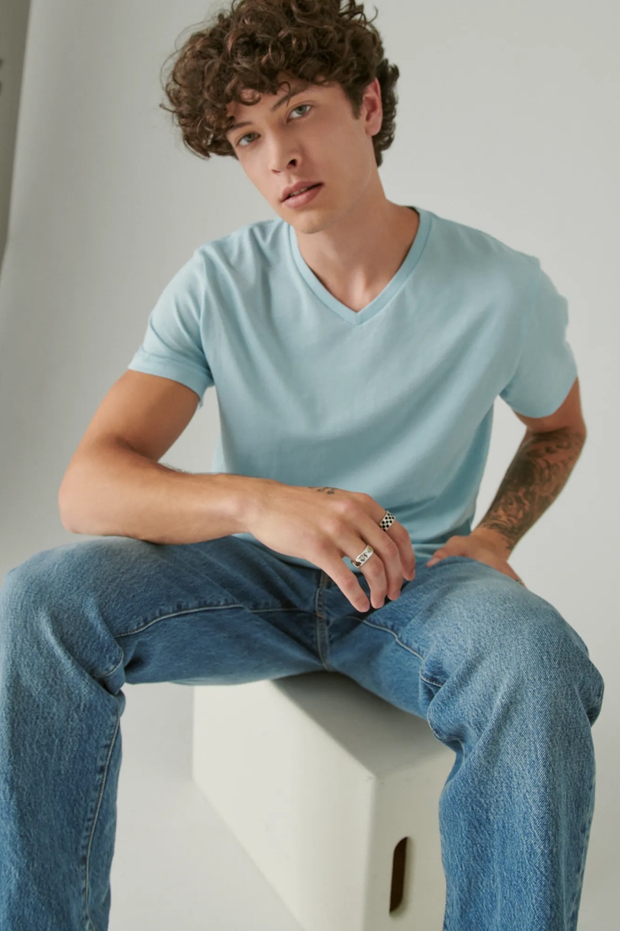 VENICE BURNOUT V NECK TEE, image 1