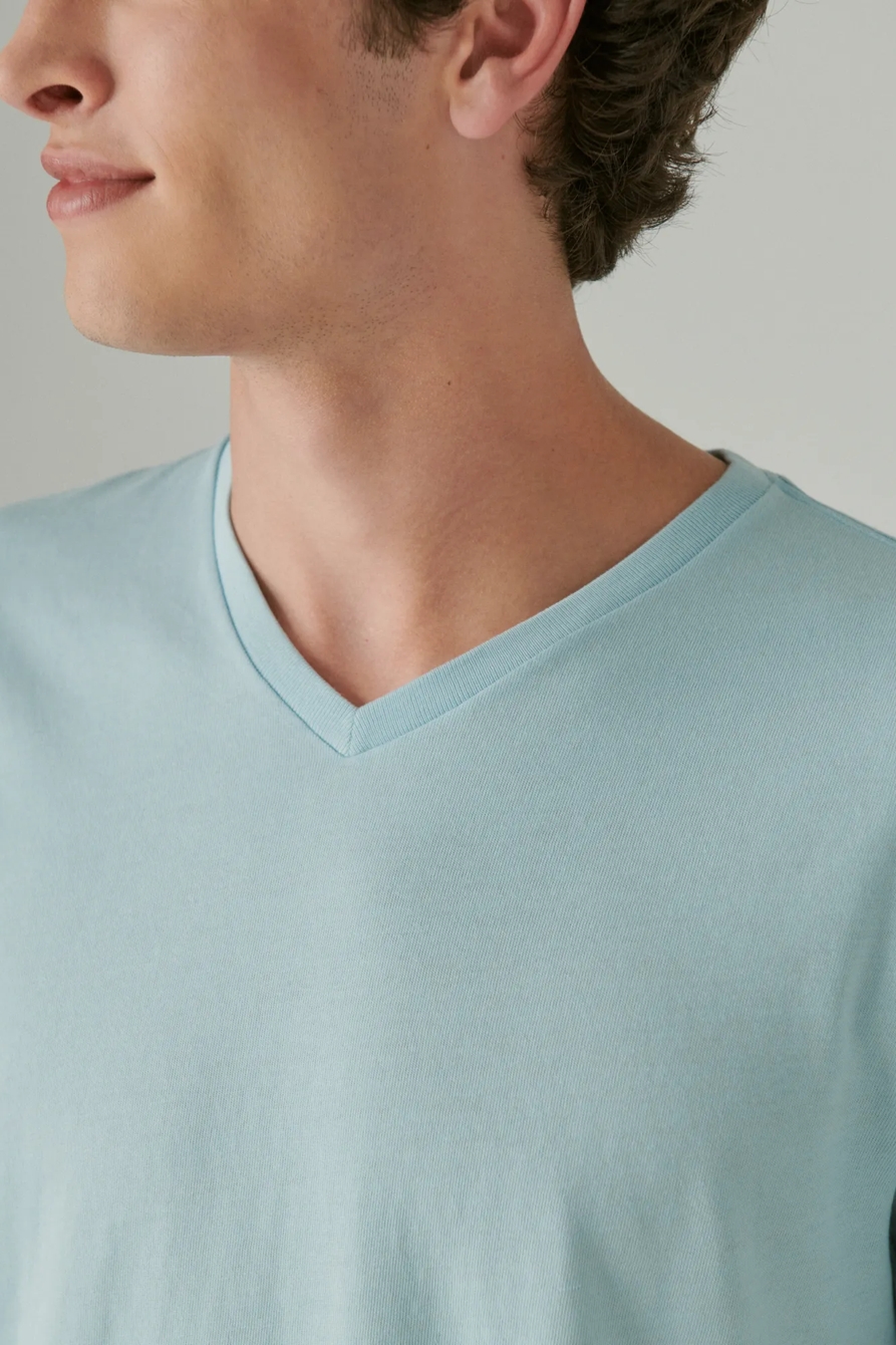 VENICE BURNOUT V NECK TEE, image 4