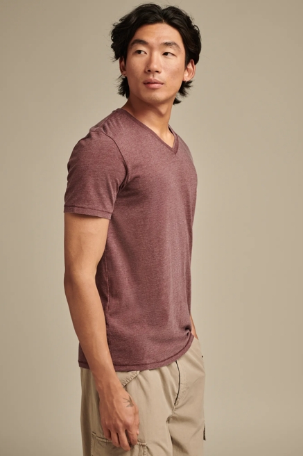 VENICE BURNOUT V NECK TEE, image 3