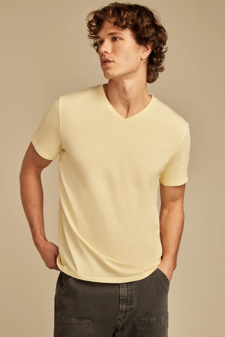 VENICE BURNOUT V NECK TEE, image 1