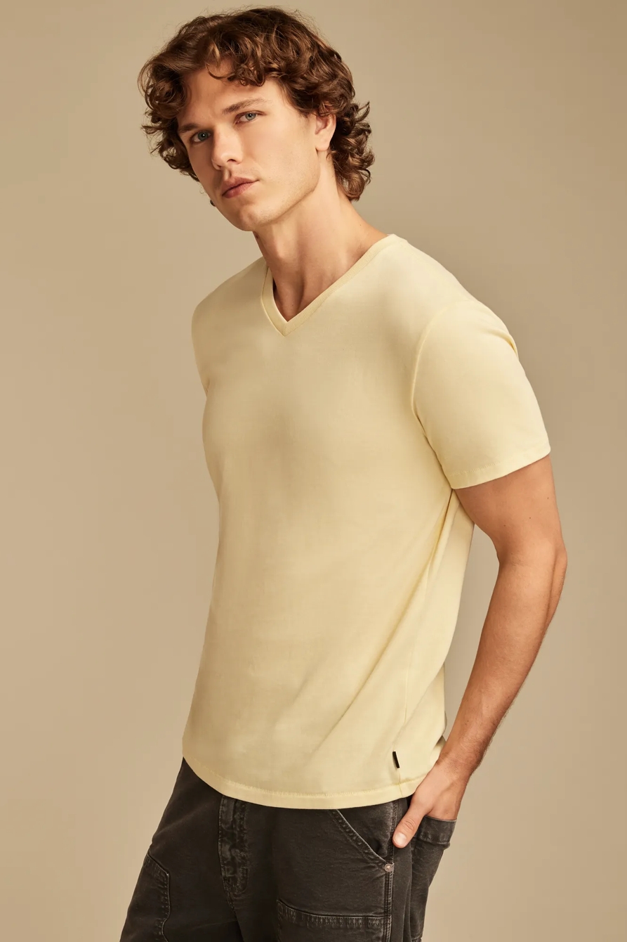 VENICE BURNOUT V NECK TEE, image 4
