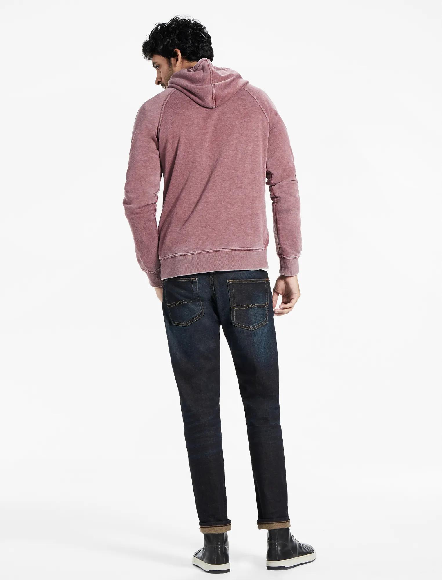 VENICE BURNOUT HOODIE, image 3