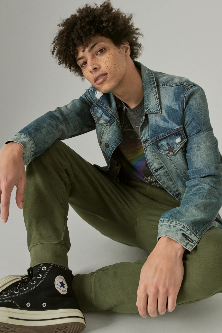 SUEDED FRENCH TERRY JOGGER PANT, image 7