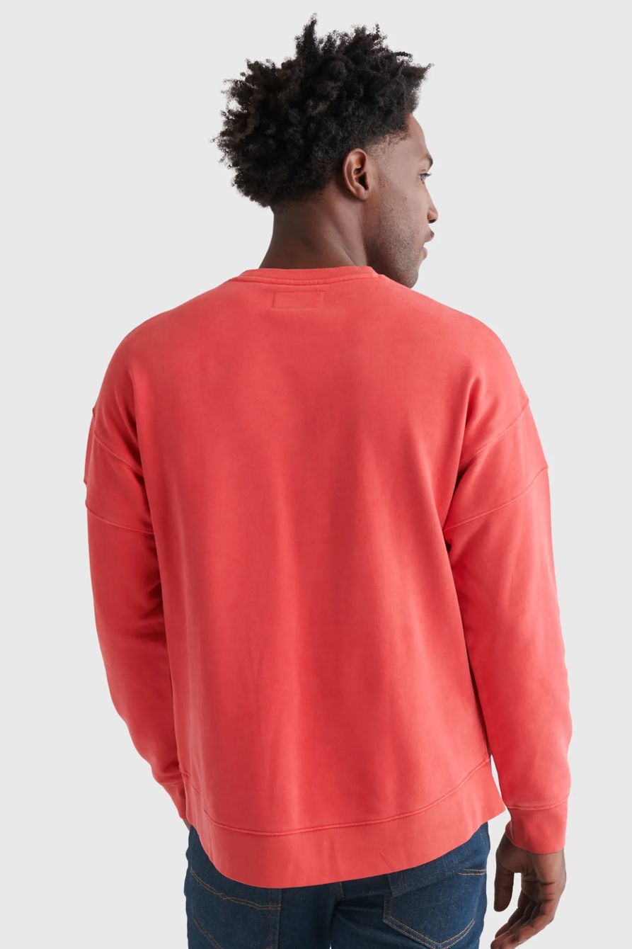 SUEDED FLEECE CALIFORNIA CREW, image 5