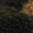 CAMO (ARMY COLORS)