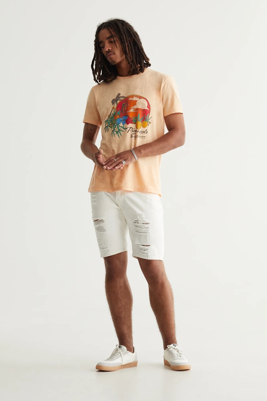 PINEAPPLE EXPRESS TEE, image 2