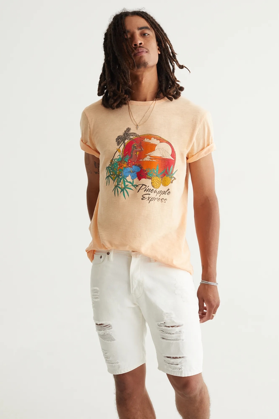 PINEAPPLE EXPRESS TEE, image 6