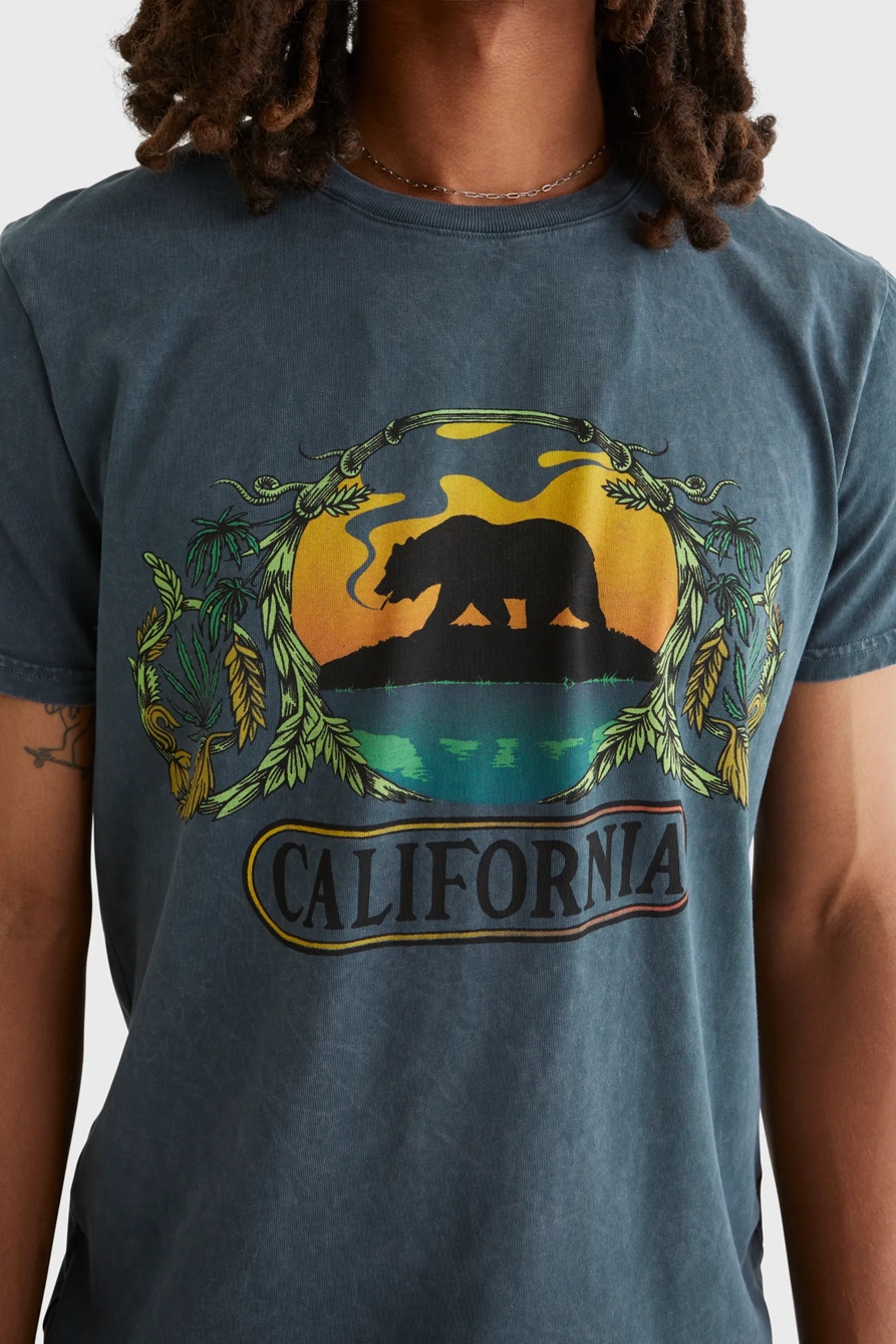 STONED BEAR TEE, image 6