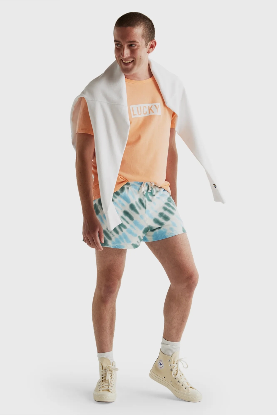 PRIDE LUCKY LOGO GENDER NEUTRAL TEE, image 2