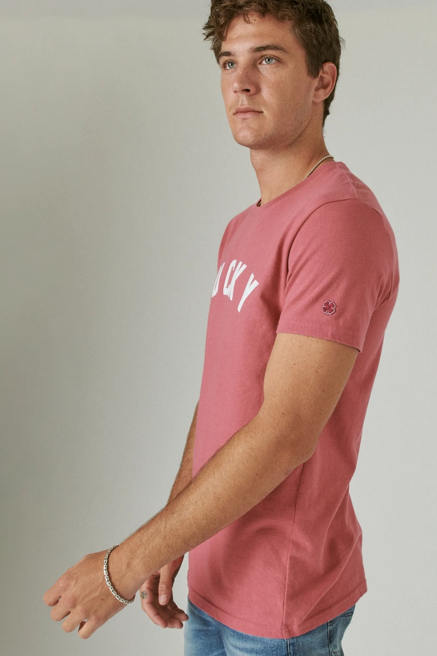 LUCKY BLOCK LOGO TEE, image 3